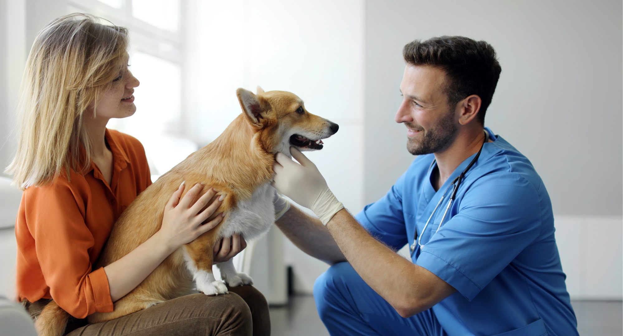 Locuming in the UK - Information, Employment Options And Tax Considerations