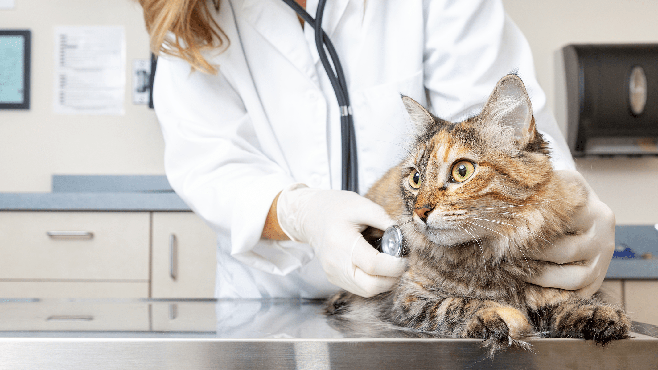 Permanent Or Locum Work?