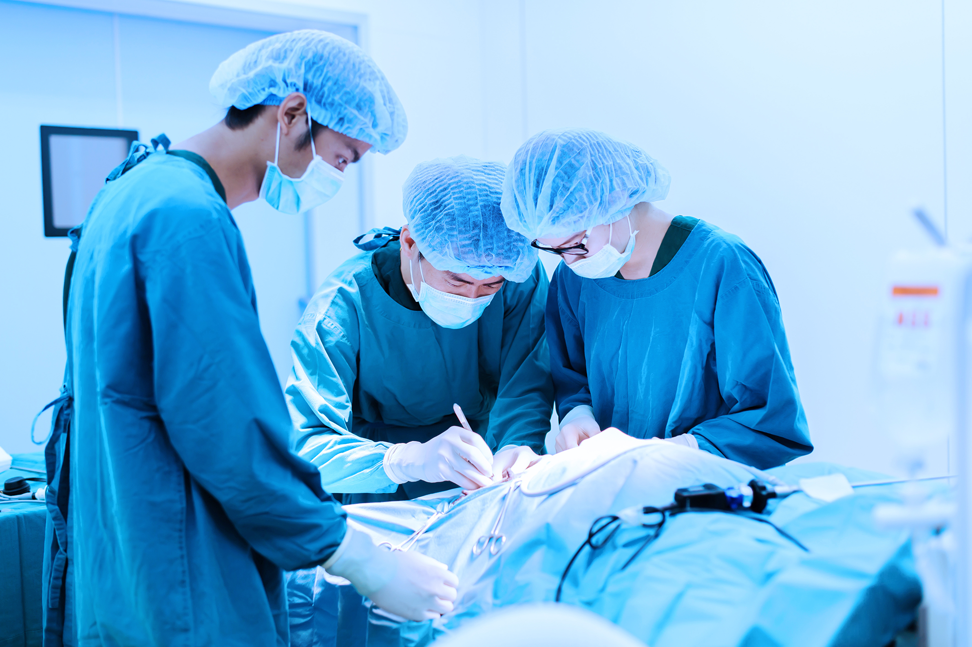 Registering With The Royal College Of Veterinary Surgeons