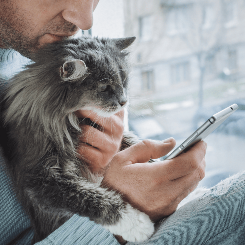 Banner Default Image