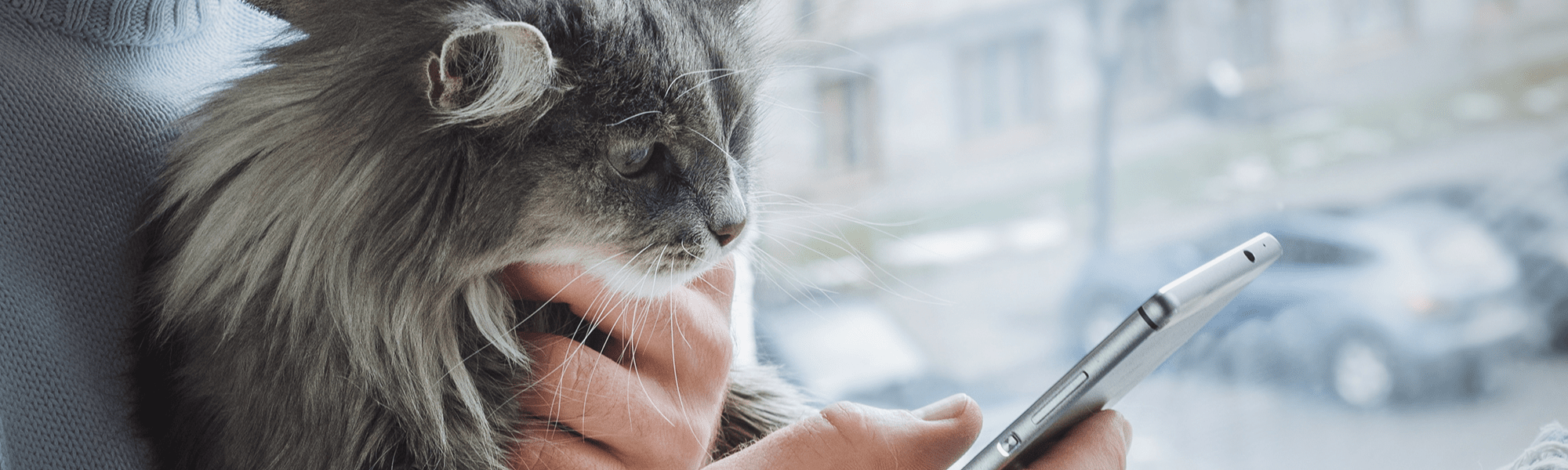 Banner Default Image